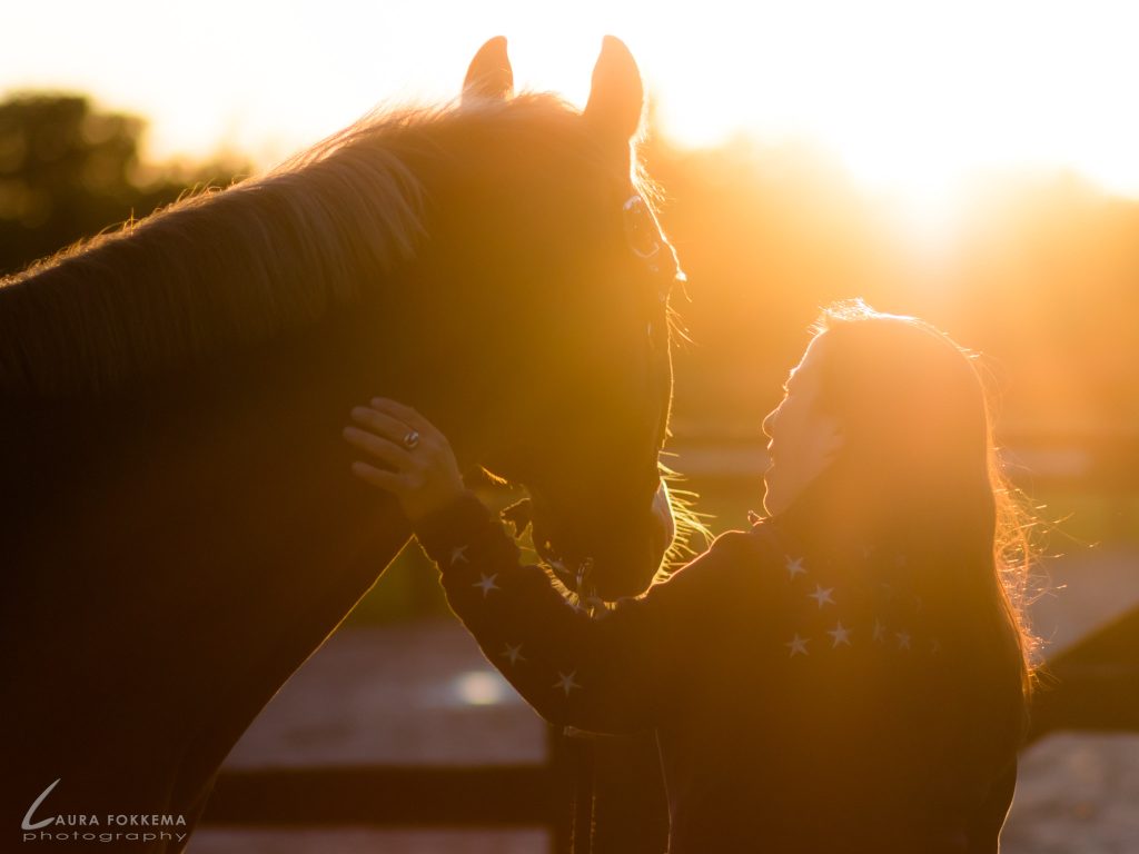 InChange Paardencoaching in de praktijk client in contact met merrie Daula