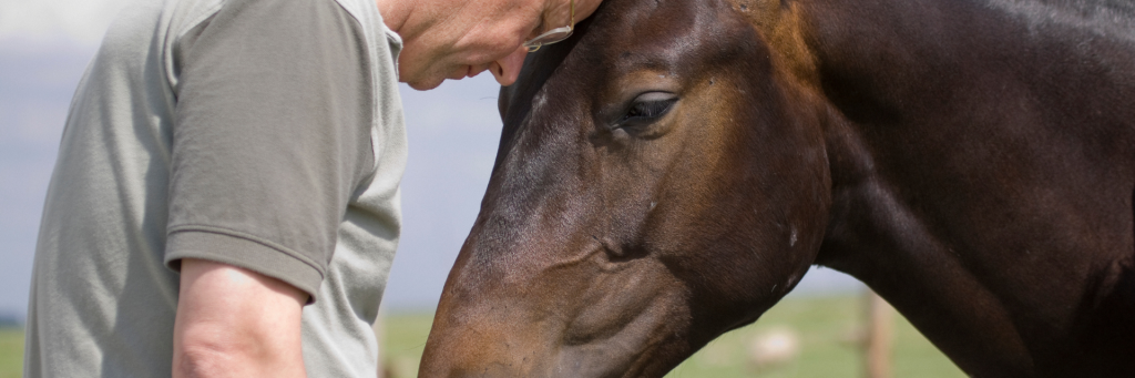 InChange Paardencoaching in de praktijk, client in contact met merrie Daula